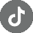 tiktok icon